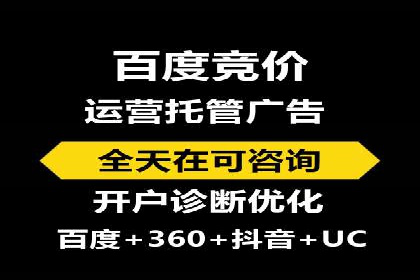 谷歌竞价案例：成功案例分析及启示